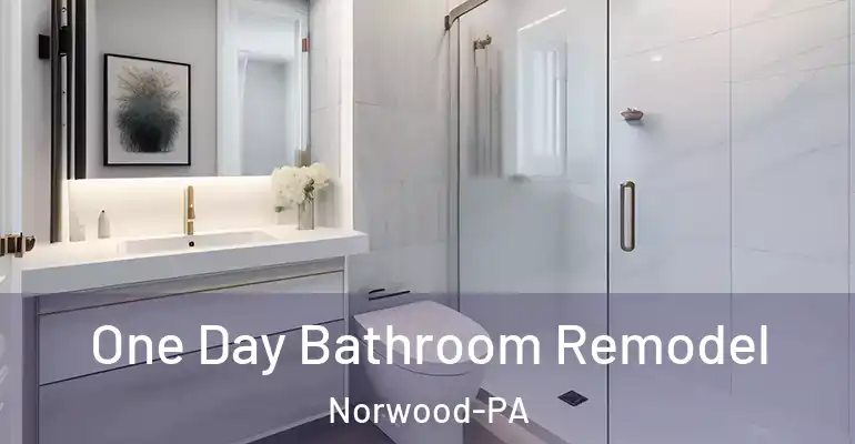 inner Bathroom imggen One Day Bathroom Remodel Norwood-PA