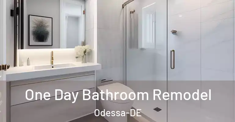 inner Bathroom imggen One Day Bathroom Remodel Odessa-DE