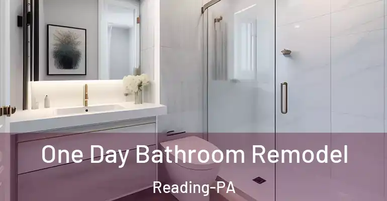 inner Bathroom imggen One Day Bathroom Remodel Reading-PA