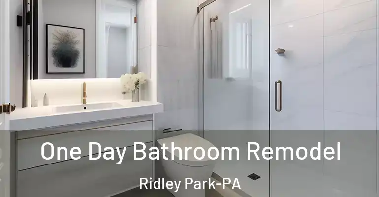 inner Bathroom imggen One Day Bathroom Remodel Ridley Park-PA