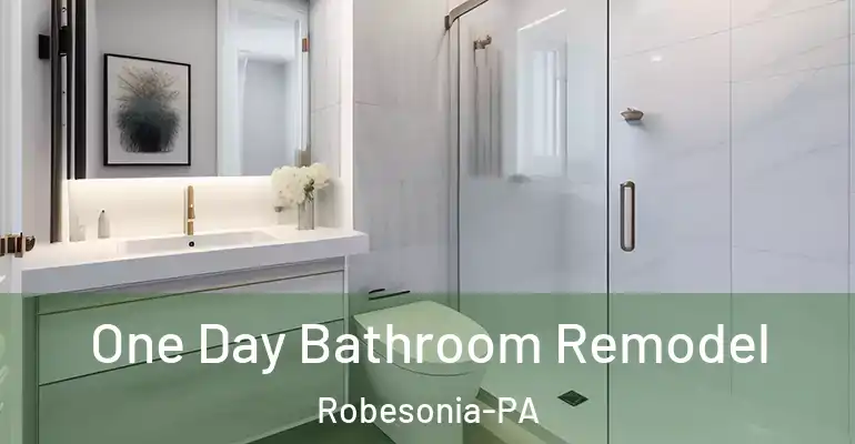 inner Bathroom imggen One Day Bathroom Remodel Robesonia-PA