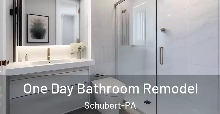 inner Bathroom imggen One Day Bathroom Remodel Schubert-PA