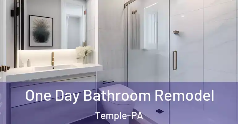 inner Bathroom imggen One Day Bathroom Remodel Temple-PA