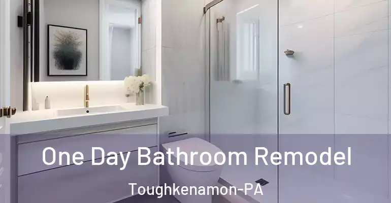 inner Bathroom imggen One Day Bathroom Remodel Toughkenamon-PA