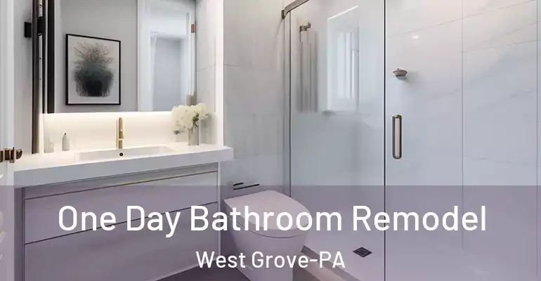 inner Bathroom imggen One Day Bathroom Remodel West Grove-PA