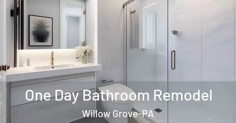 inner Bathroom imggen One Day Bathroom Remodel Willow Grove-PA