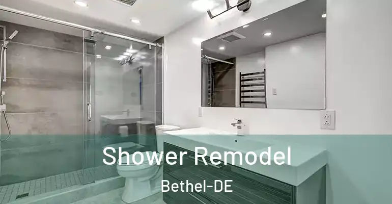 inner Bathroom imggen Shower Remodel Bethel-DE