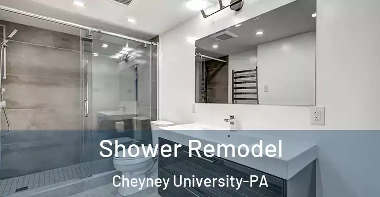 inner Bathroom imggen Shower Remodel Cheyney University-PA