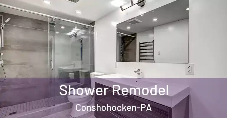 inner Bathroom imggen Shower Remodel Conshohocken-PA