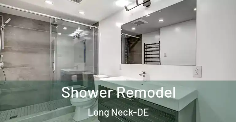 inner Bathroom imggen Shower Remodel Long Neck-DE