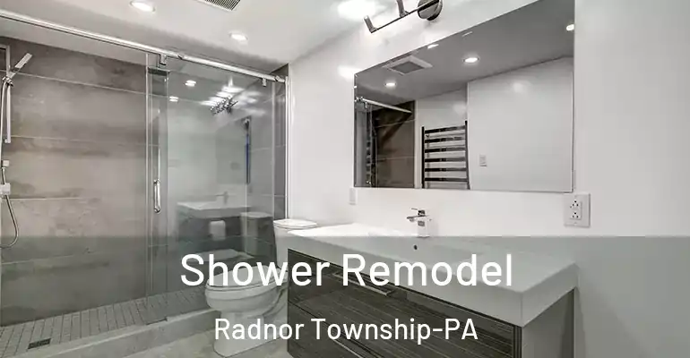 inner Bathroom imggen Shower Remodel Radnor Township-PA