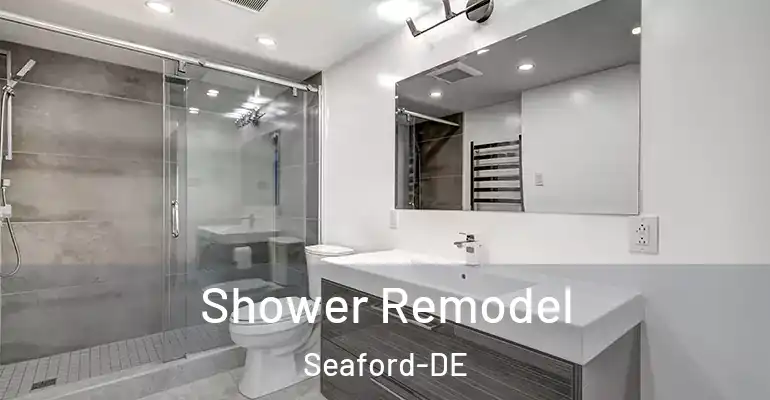 inner Bathroom imggen Shower Remodel Seaford-DE