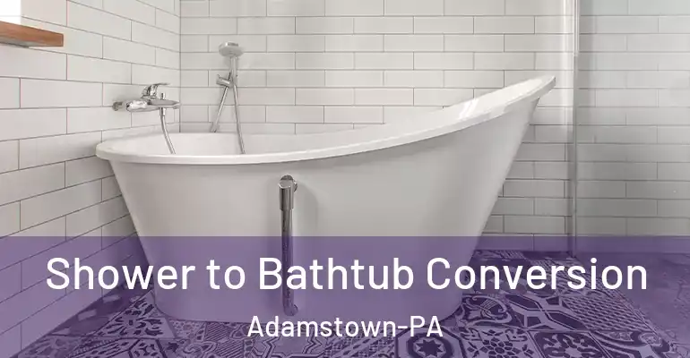 inner Bathroom imggen Shower to Bathtub Conversion Adamstown-PA