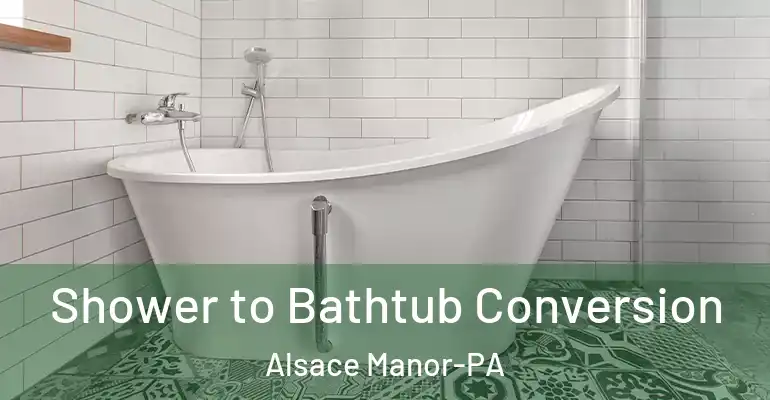 inner Bathroom imggen Shower to Bathtub Conversion Alsace Manor-PA
