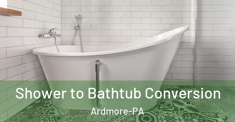 inner Bathroom imggen Shower to Bathtub Conversion Ardmore-PA
