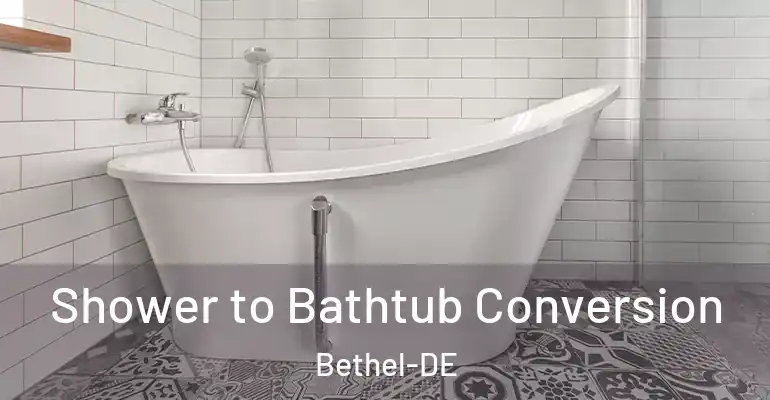 inner Bathroom imggen Shower to Bathtub Conversion Bethel-DE
