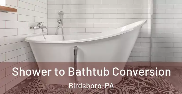 inner Bathroom imggen Shower to Bathtub Conversion Birdsboro-PA