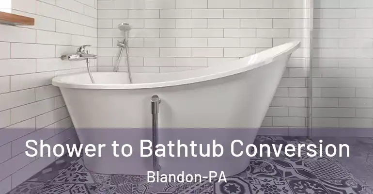inner Bathroom imggen Shower to Bathtub Conversion Blandon-PA
