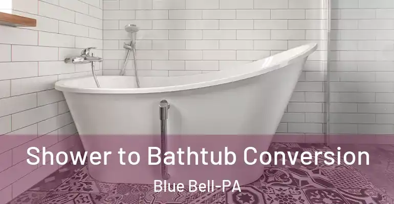 inner Bathroom imggen Shower to Bathtub Conversion Blue Bell-PA