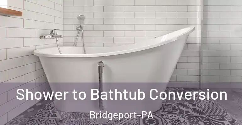 inner Bathroom imggen Shower to Bathtub Conversion Bridgeport-PA