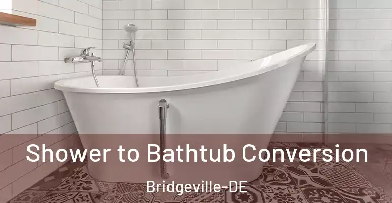 inner Bathroom imggen Shower to Bathtub Conversion Bridgeville-DE