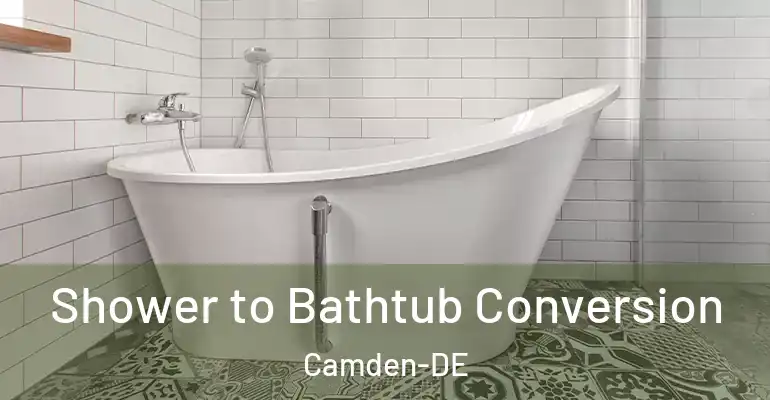 inner Bathroom imggen Shower to Bathtub Conversion Camden-DE
