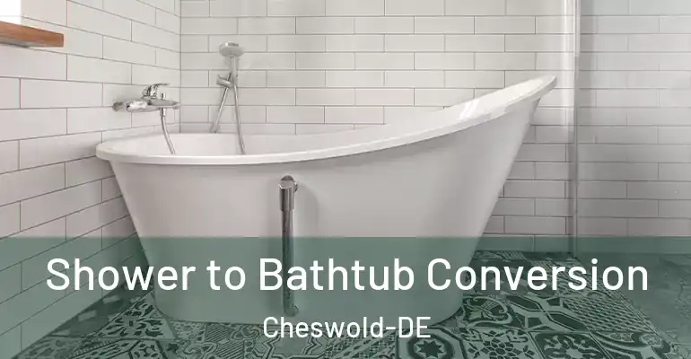 inner Bathroom imggen Shower to Bathtub Conversion Cheswold-DE
