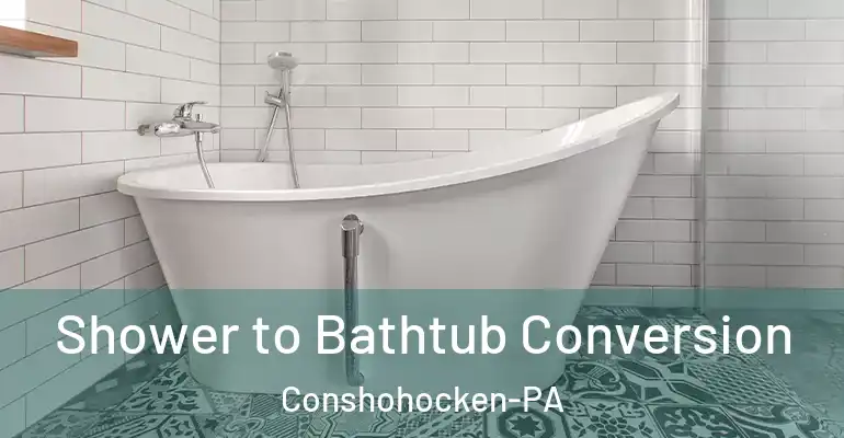 inner Bathroom imggen Shower to Bathtub Conversion Conshohocken-PA