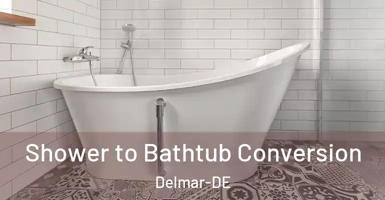 inner Bathroom imggen Shower to Bathtub Conversion Delmar-DE