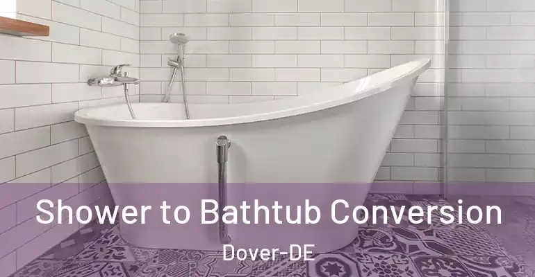inner Bathroom imggen Shower to Bathtub Conversion Dover-DE