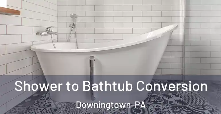 inner Bathroom imggen Shower to Bathtub Conversion Downingtown-PA