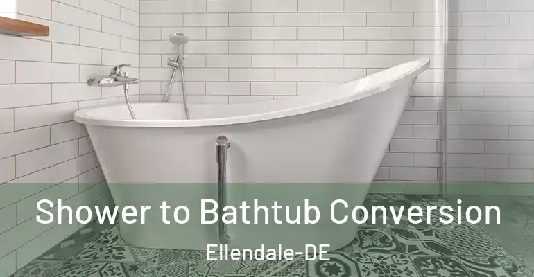 inner Bathroom imggen Shower to Bathtub Conversion Ellendale-DE
