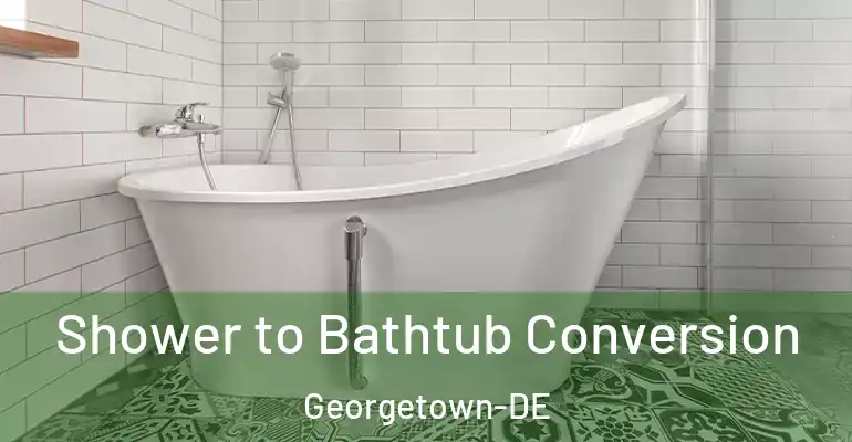 inner Bathroom imggen Shower to Bathtub Conversion Georgetown-DE