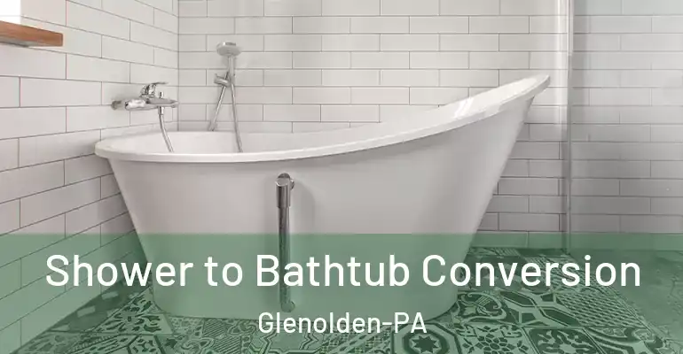 inner Bathroom imggen Shower to Bathtub Conversion Glenolden-PA