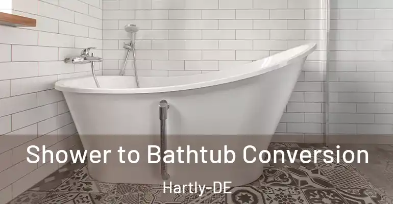 inner Bathroom imggen Shower to Bathtub Conversion Hartly-DE