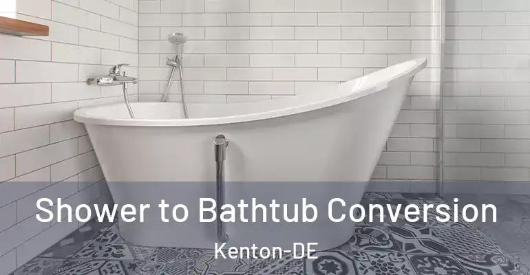 inner Bathroom imggen Shower to Bathtub Conversion Kenton-DE