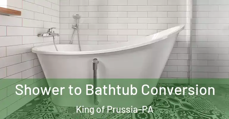inner Bathroom imggen Shower to Bathtub Conversion King of Prussia-PA
