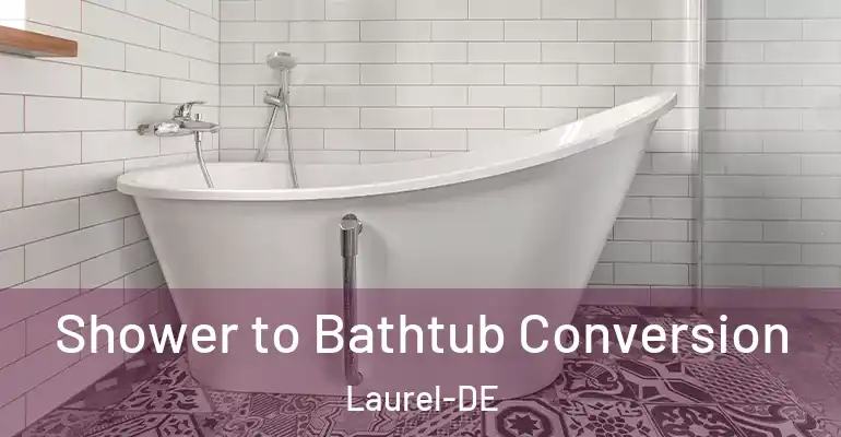 inner Bathroom imggen Shower to Bathtub Conversion Laurel-DE