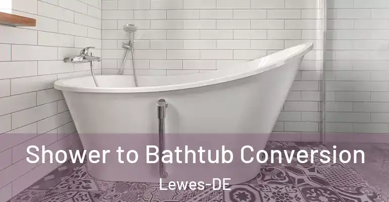 inner Bathroom imggen Shower to Bathtub Conversion Lewes-DE
