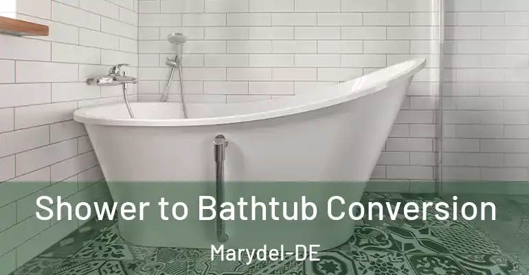 inner Bathroom imggen Shower to Bathtub Conversion Marydel-DE