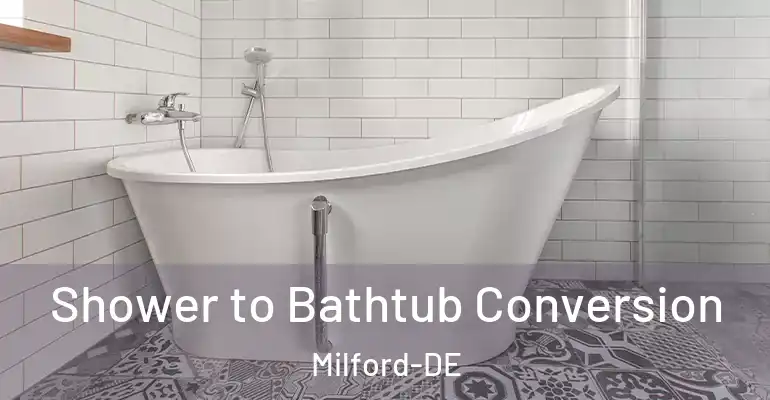 inner Bathroom imggen Shower to Bathtub Conversion Milford-DE
