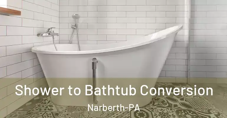 inner Bathroom imggen Shower to Bathtub Conversion Narberth-PA
