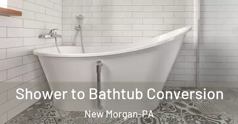 inner Bathroom imggen Shower to Bathtub Conversion New Morgan-PA