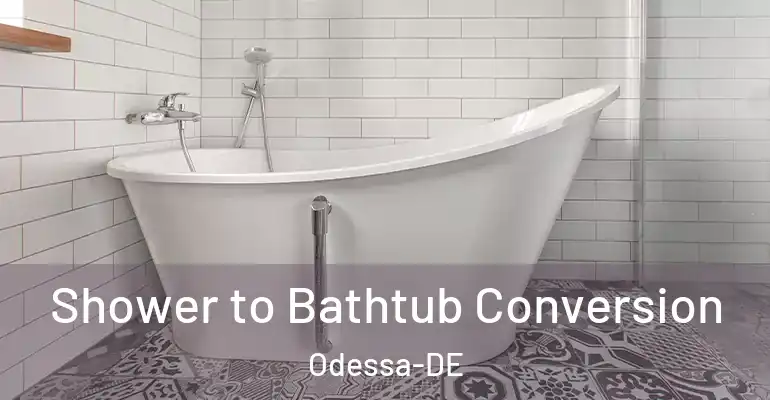 inner Bathroom imggen Shower to Bathtub Conversion Odessa-DE