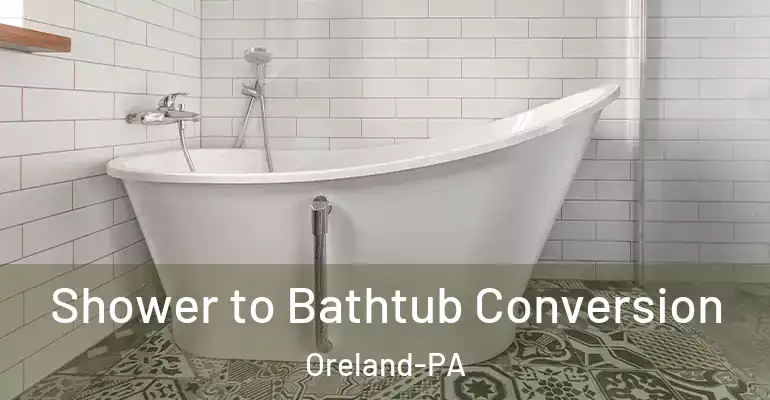 inner Bathroom imggen Shower to Bathtub Conversion Oreland-PA