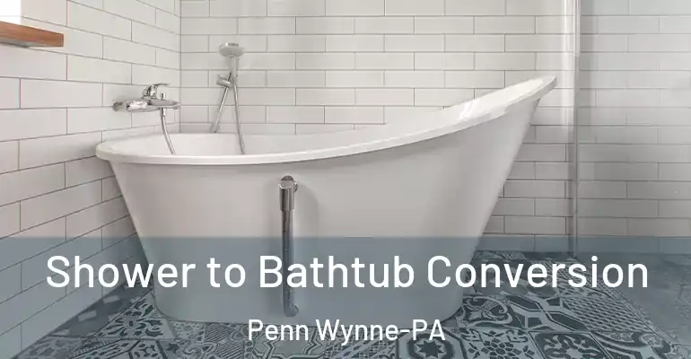 inner Bathroom imggen Shower to Bathtub Conversion Penn Wynne-PA