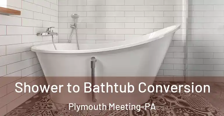 inner Bathroom imggen Shower to Bathtub Conversion Plymouth Meeting-PA