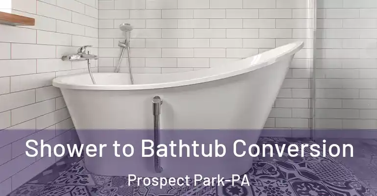 inner Bathroom imggen Shower to Bathtub Conversion Prospect Park-PA