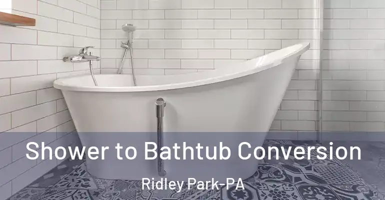 inner Bathroom imggen Shower to Bathtub Conversion Ridley Park-PA