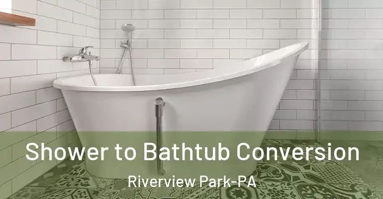 inner Bathroom imggen Shower to Bathtub Conversion Riverview Park-PA
